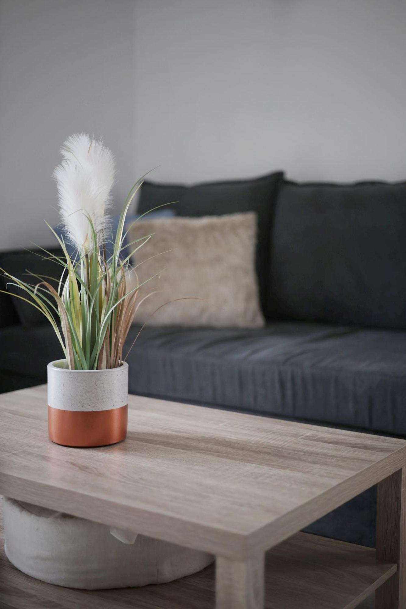 ואלאוריס Appartement Familial Avec Jardin Ensoleille Dans La Cite Des Potiers מראה חיצוני תמונה